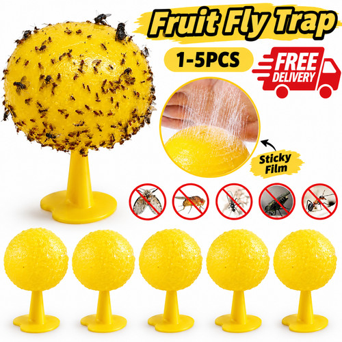Fruit fly balls ball - balls,