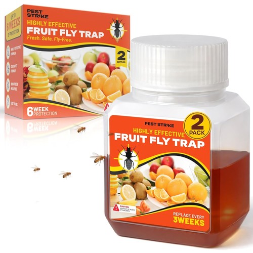 Fruit fly trap - catcher, indoor