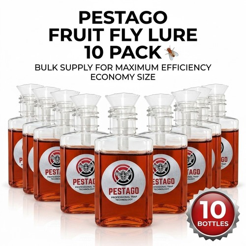 Fruit fly trap x10 - fly,