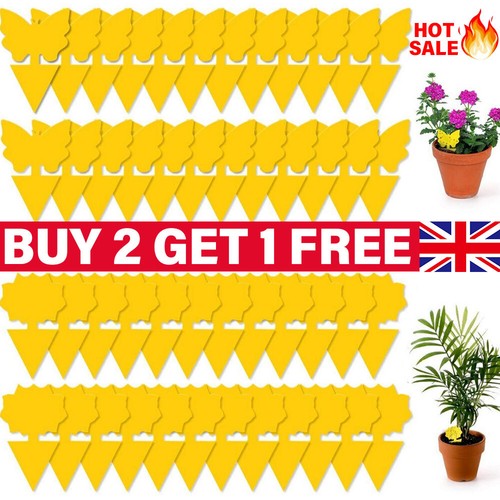 41pcs sticky fly traps - 41pcs,