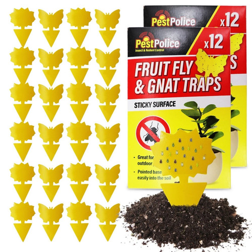 40pc sticky fruit - 10-40pc, traps
