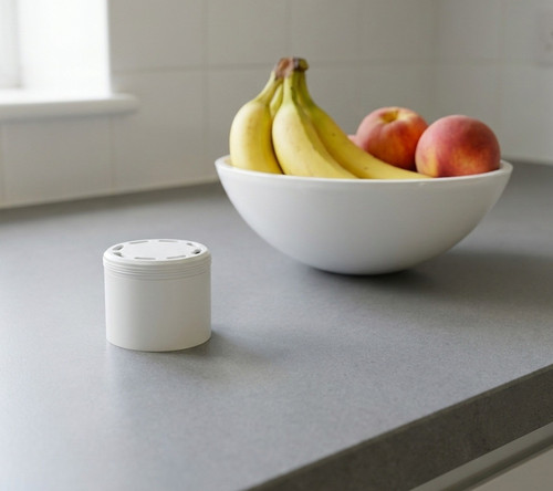 Fruit fly trap drain - trap,