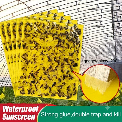 20pcs yellow sticky fly - sticky,