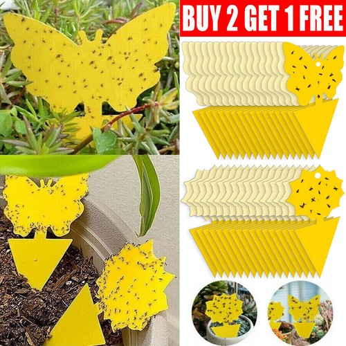 41pcs yellow sticky fly - fly, trap