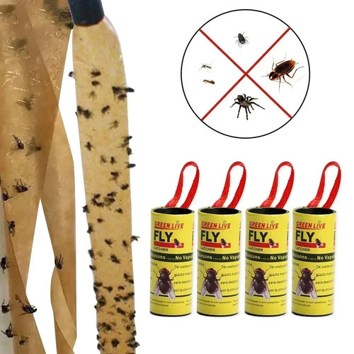 Fly insect catcher - fly,