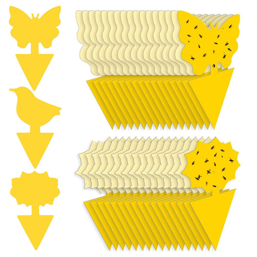 30pcs fruit fly traps - traps, sticky