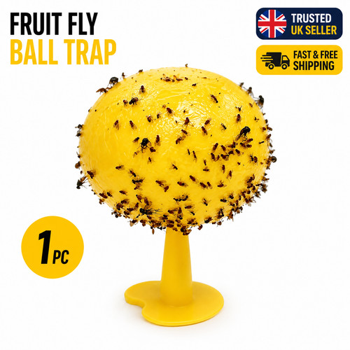 Fruit fly balls ball - fly,