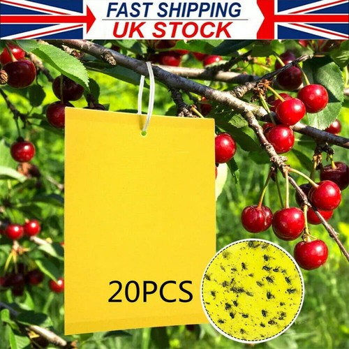 20pcs yellow sticky fly - 20pcs,