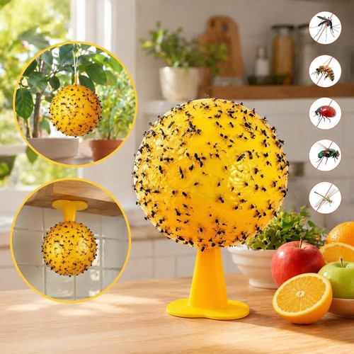 Fruit fly balls - balls, ball