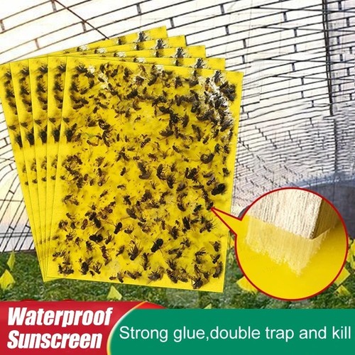 20pcs yellow sticky fly - yellow,