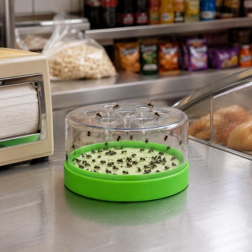 Automatic fly catcher killer - fly,