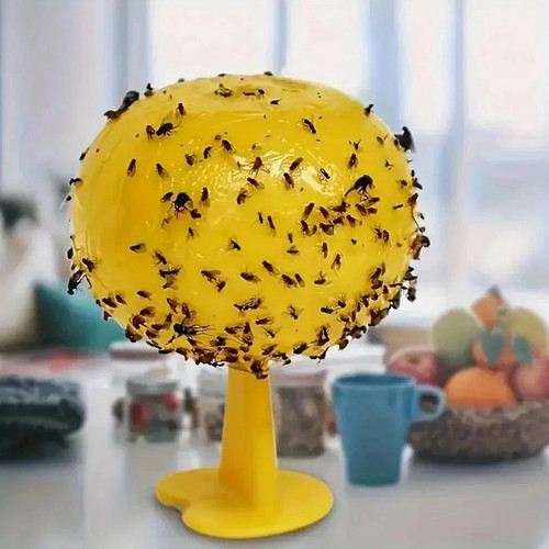 Fruit fly balls ball - balls,