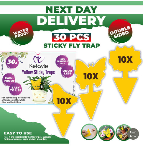 Pcs fruit fly traps - fly,