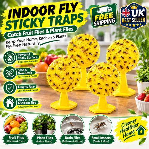 Pack indoor fly sticky - 4,