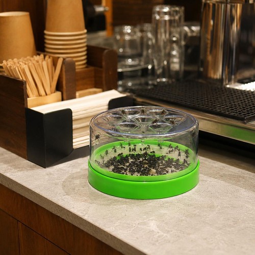 Automatic fly trap for - automatic,