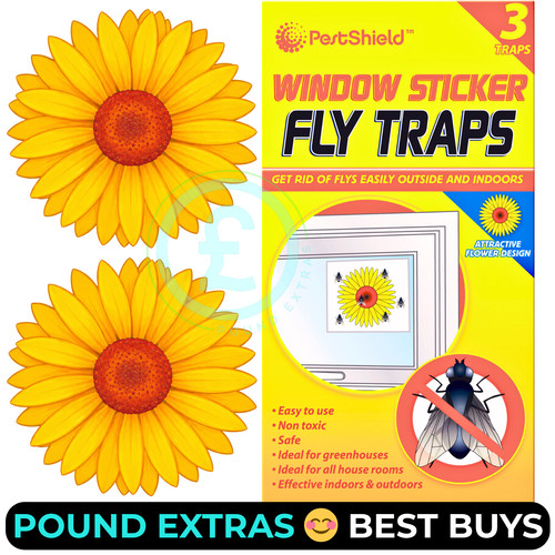 Fly catcher window flower - catcher,