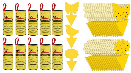 Fruit fly traps yellow sticky - fly,
