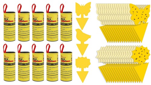 Fruit fly traps indoor yellow - fly,