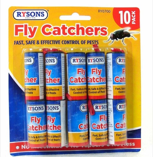 Fly insect catcher paper - insect,