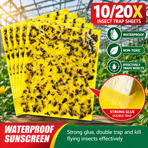 20pcs yellow sticky - 20pcs, fly