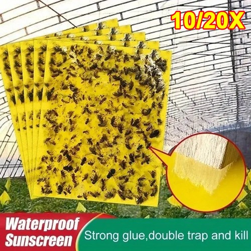 20pcs yellow sticky - sticky, fly
