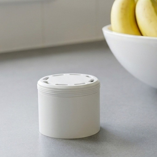 Fruit fly trap - fruit,