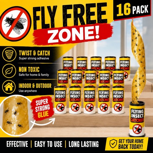 Fly insect catchers paper - fly,
