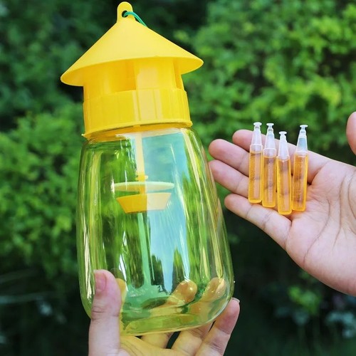 Reusable fruit fly trap - fruit,