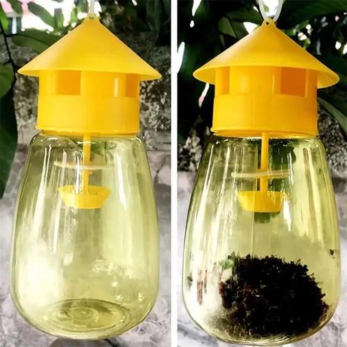 Reusable fruit fly trap - reusable,