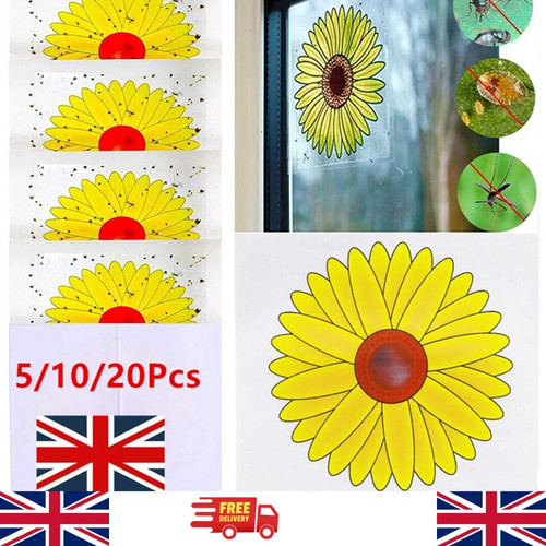 20x fly trap - 1-20x, stickers