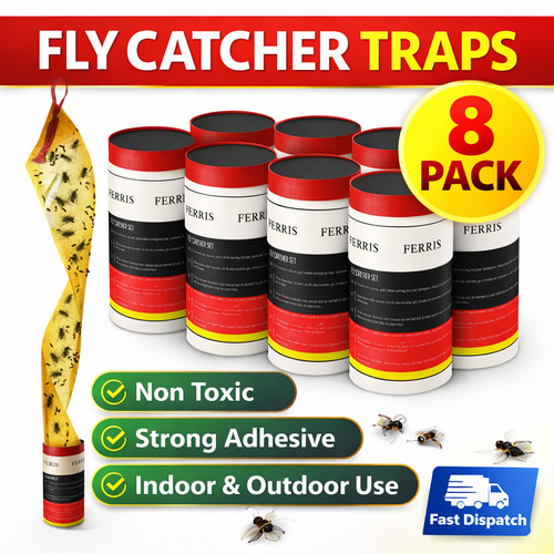 Fly traps sticky - sticky,
