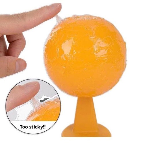 Fruit fly trap - fruit,