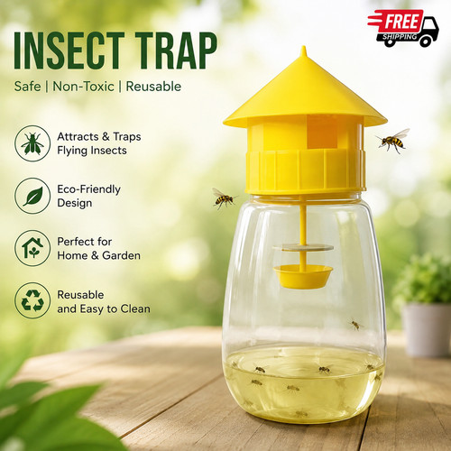 Reusable fruit fly - trap, killer