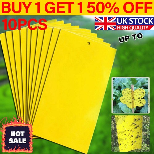 Large insect sticky fly - x,