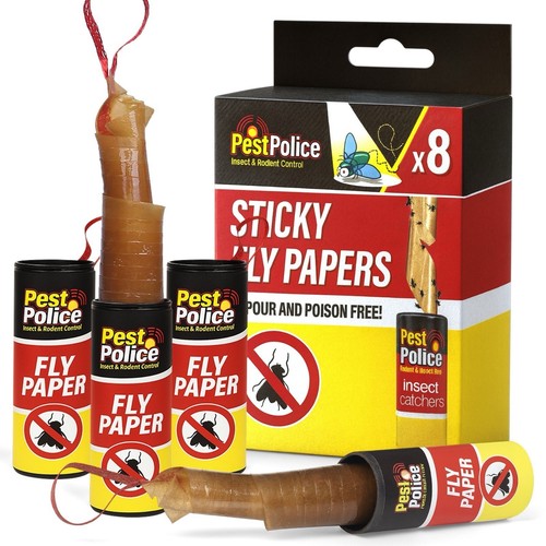 Fly insect catchers paper - fly,