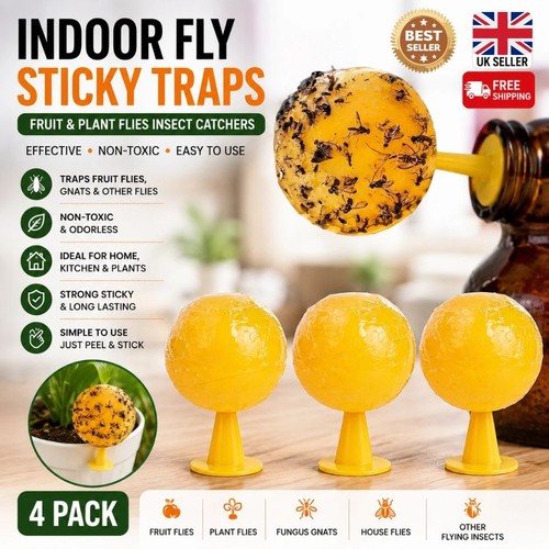 Pack indoor fly sticky - indoor,