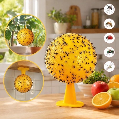 Fruit fly balls ball - fly,