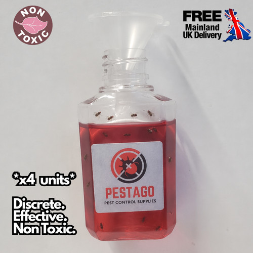 Fruit fly trap killer - fruit,