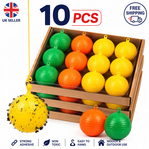 Fruit fly balls - fly,