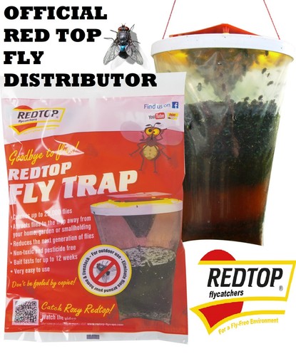 Fly bag trap red top - trap,