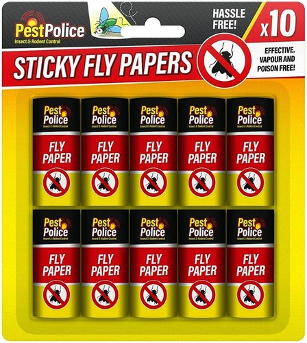 Fly flies insect catcher paper - fly,