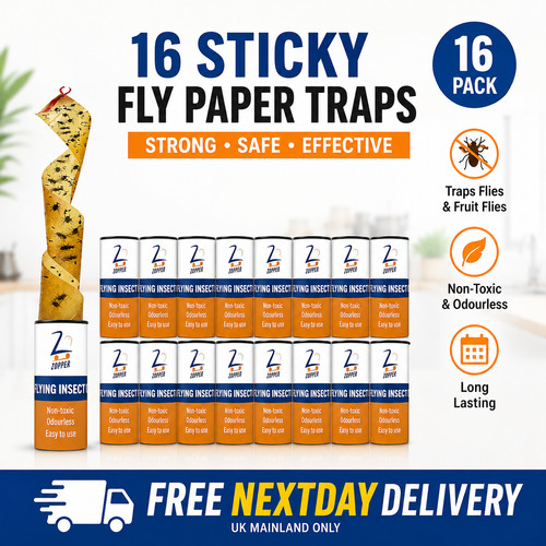 Sticky fly paper - sticky,