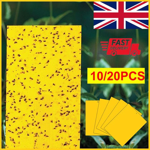 20pcs yellow sticky fly - 20pcs,